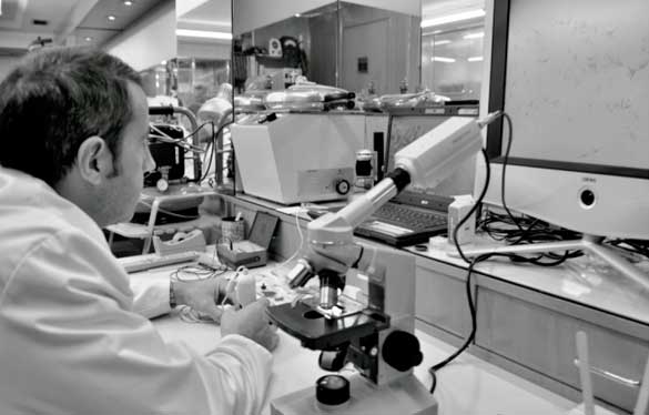 laboratorio-to